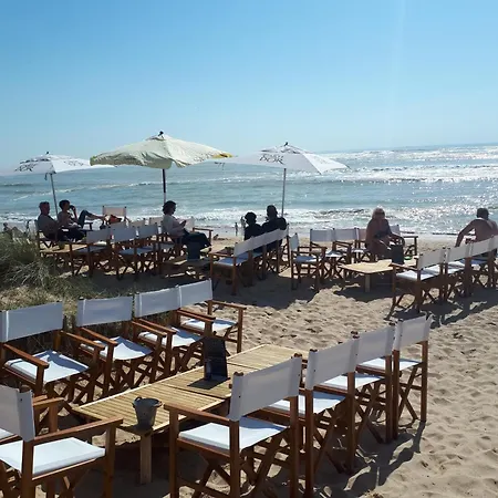 Maison A Domino Ile Oleron * Сен-Жорж-д'Олерон